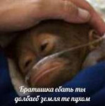 123.jpg