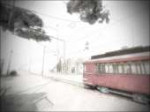 144200853316167059[1].jpg