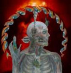 lateralusbytoolband.jpg