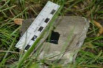 DSC0420.jpg