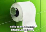 lenta.jpg