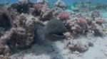 deepdarksea.webm