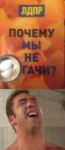 9FhJj7e1wHM.jpg