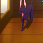 14754469333015.webm