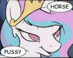 horse pussy.png