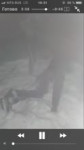 15217138774170.mp4