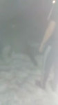 15217138774170.mp4