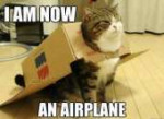 lolcatairplane.jpg