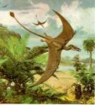 pterodaktel-pervyiy-letayushhiy-yashher-e1395837033466.jpg