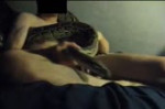 snake.webm