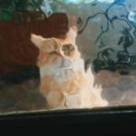 котейка-3687569.jpeg