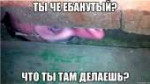 ty-ebanutyy32891303big.jpg