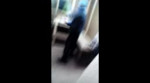 15250994679600.mp4
