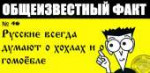 15211296387460.jpg
