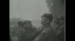 15206786037232.webm