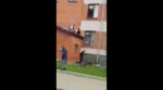 15270962466510.mp4