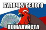 65.jpg