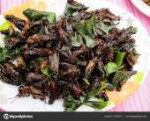 depositphotos161820100-stock-photo-fried-insects-asia-food.jpg