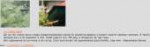 Screen Shot 2018-06-19 at 11.28.19 PM.png