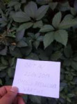 Суп ОПа (или не его) 20.06.jpg