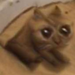15219861509570.png