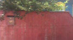 1111.webm