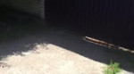 1529537459446.webm