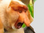 15255358984780.png