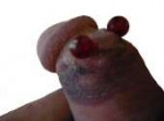 14481449679413.png