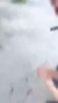 2.webm