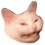 vsratiekoti013.png