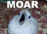 3df25e24c7a85a5f6beb338eeeea6ebe.jpg