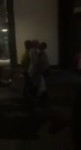  .mp4