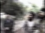 Чечня3(мимикрия).webm