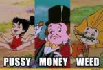 незнайка-pussy-money-weeds-849436.jpeg