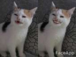 FaceApp1508932350848.jpg