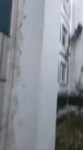 Отговрила моляра.mp4