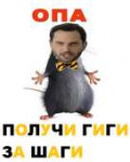 15310287201120.png
