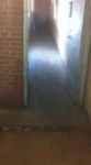 пиздаки.webm