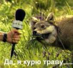 я курю траву.jpg