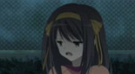 15269913286550.webm