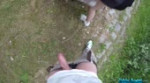 7389426.webm