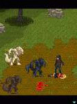 3.gif