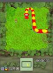 snake.png