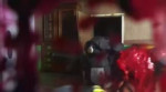 Cat Raid.webm