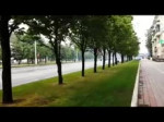 Дежавю.webm