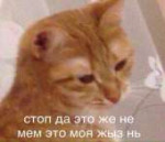 DfEXL1WkAEZSFz.jpg