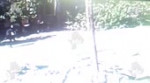 Схрон.mp4