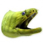megaeel.png
