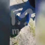 тг175.mp4